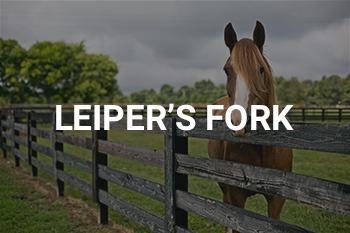 Leipers Fork